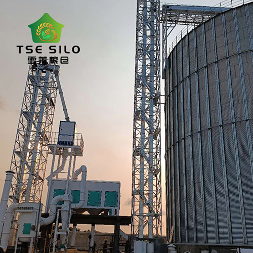 清理和除塵系統(tǒng)